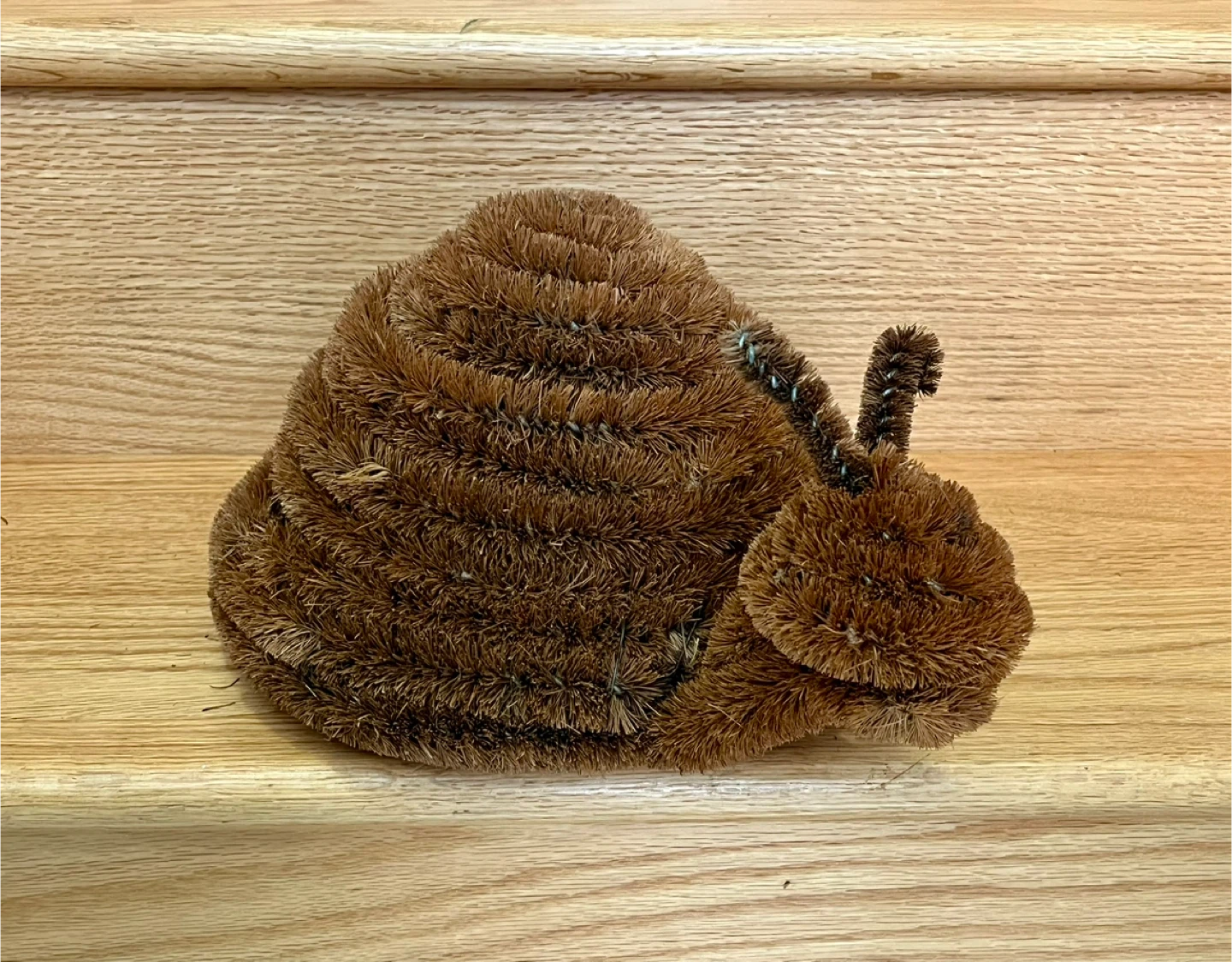 ✨NEW✨ Doormat - Decorative Snail Doormat Brush 🥕 - photo 5