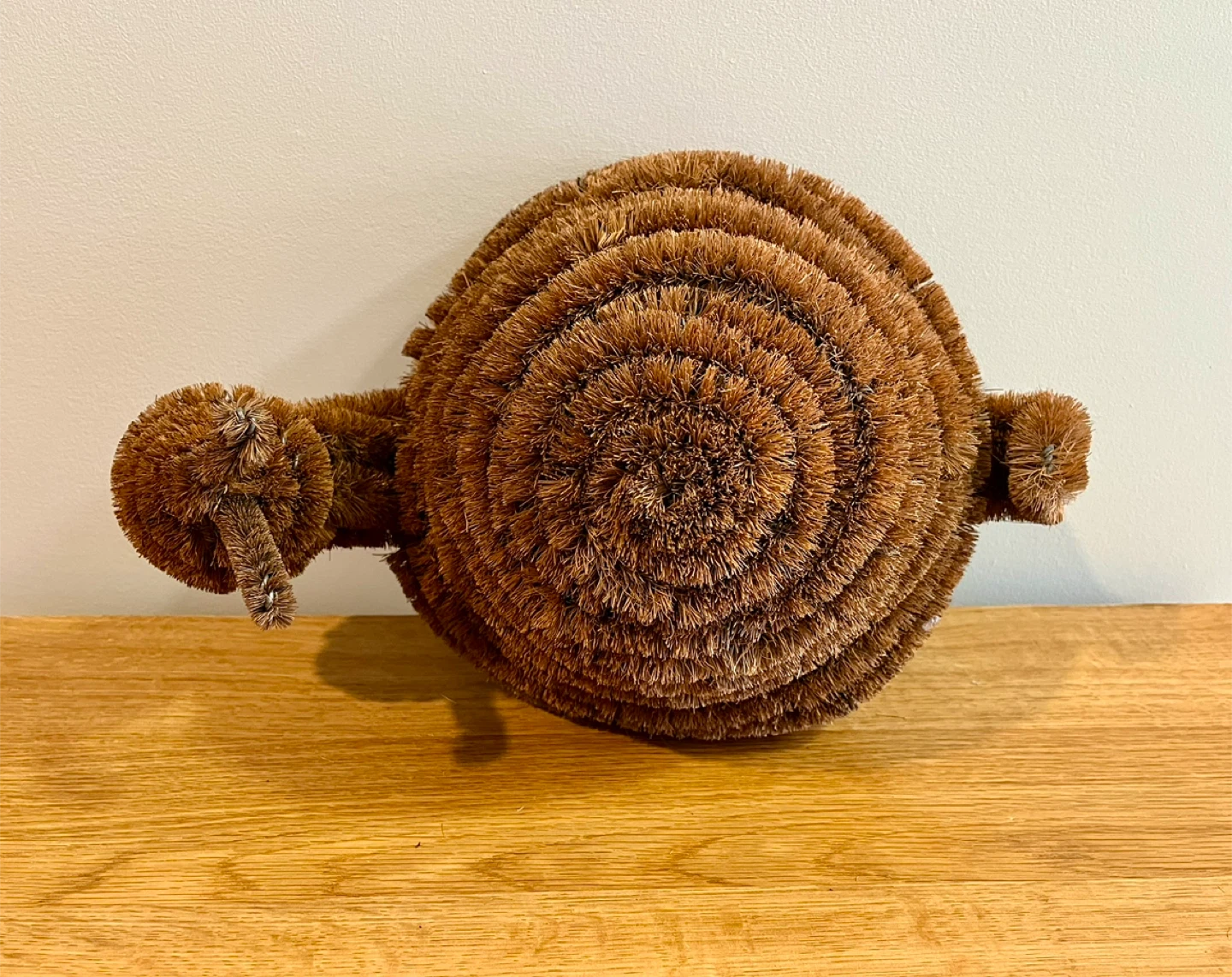 ✨NEW✨ Doormat - Decorative Snail Doormat Brush 🥕 - photo 4