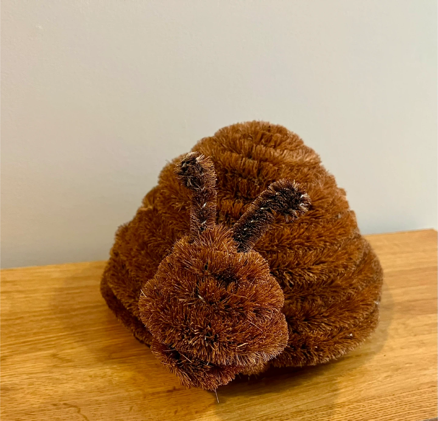 ✨NEW✨ Doormat - Decorative Snail Doormat Brush 🥕 - photo 2