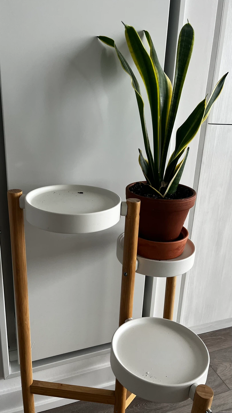 Bamboo Plant Stand - photo 5