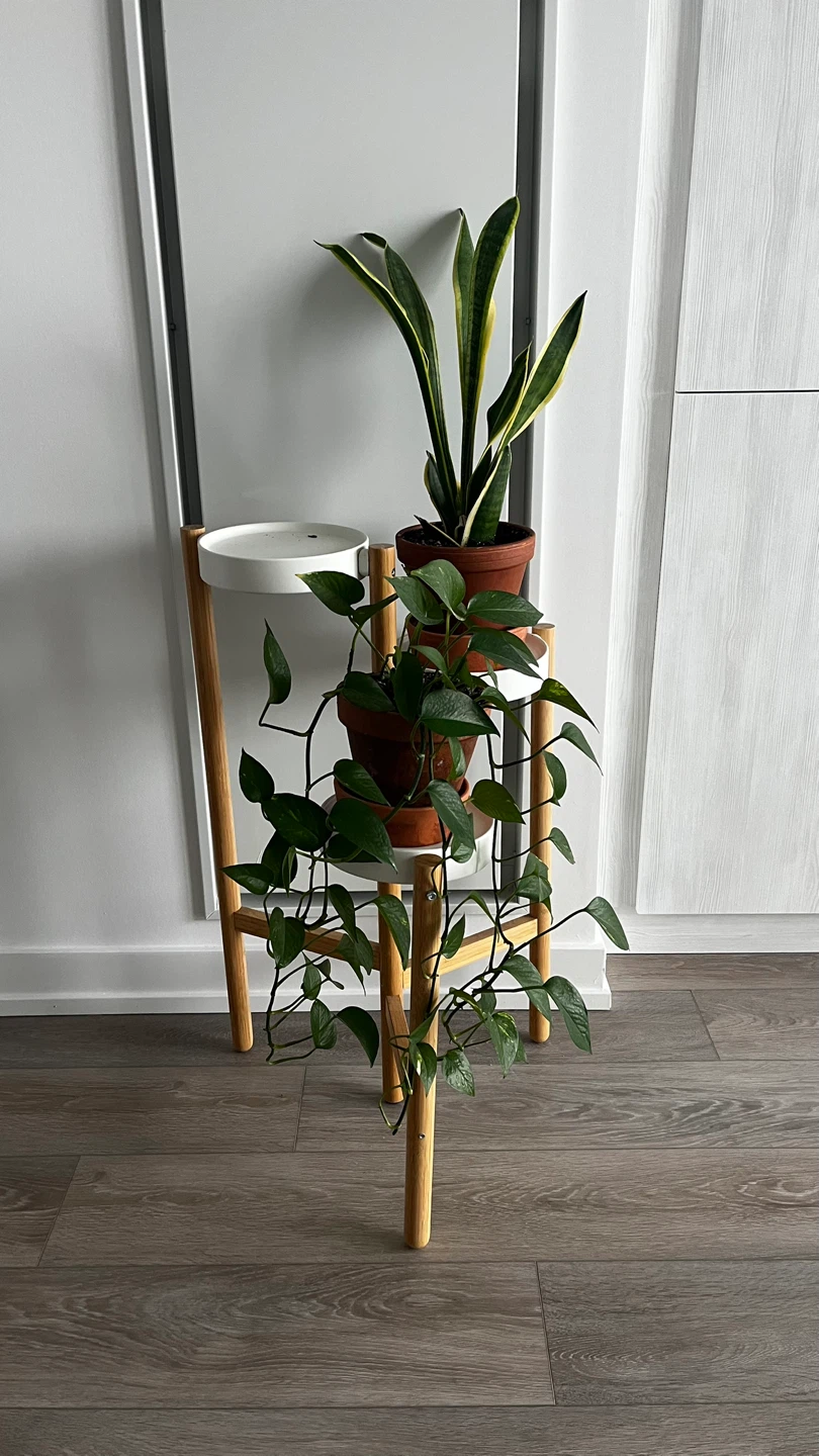 Bamboo Plant Stand - photo 4