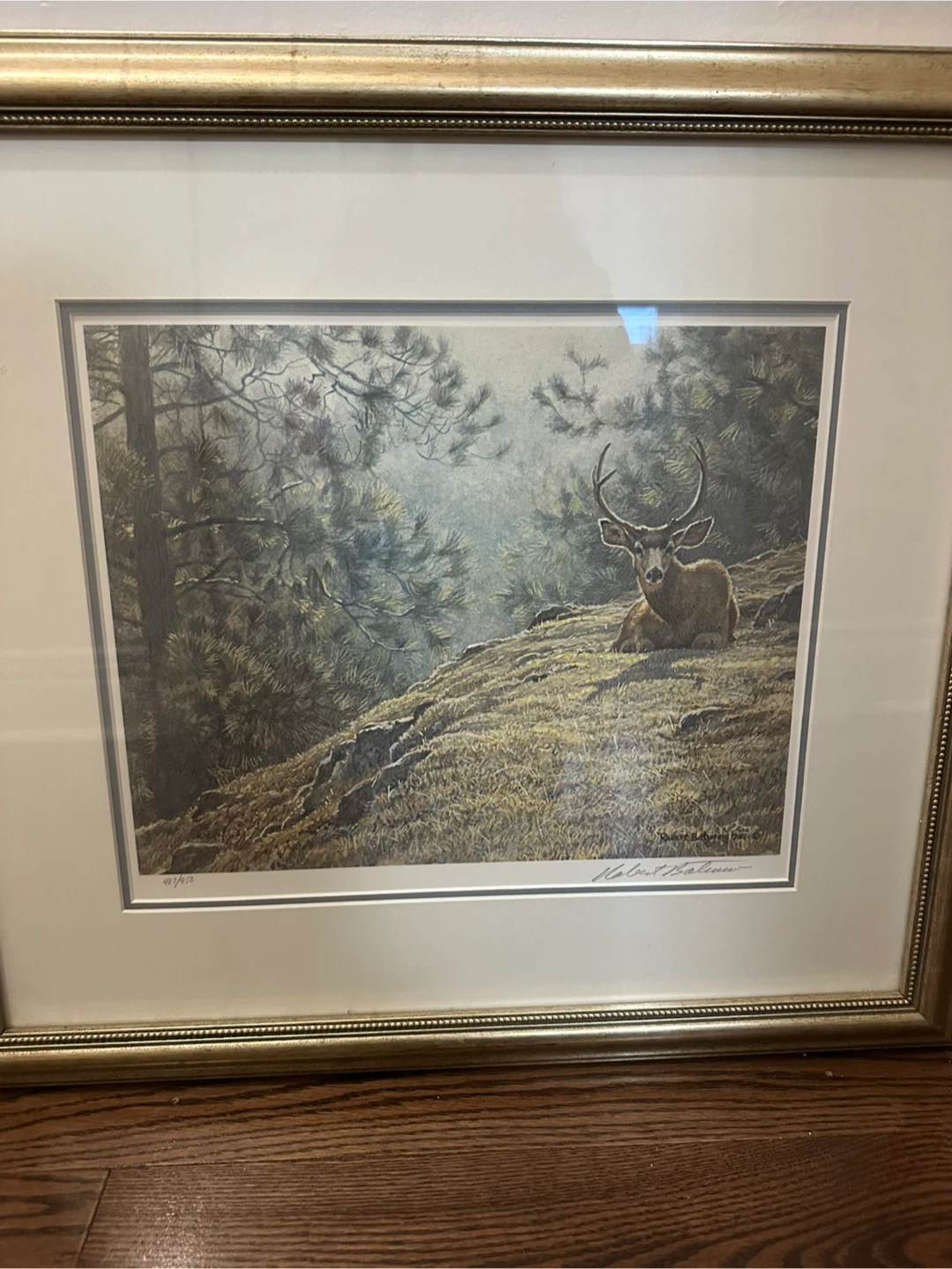 Robert Bateman "Mule Deer Resting" Limited Edition Print