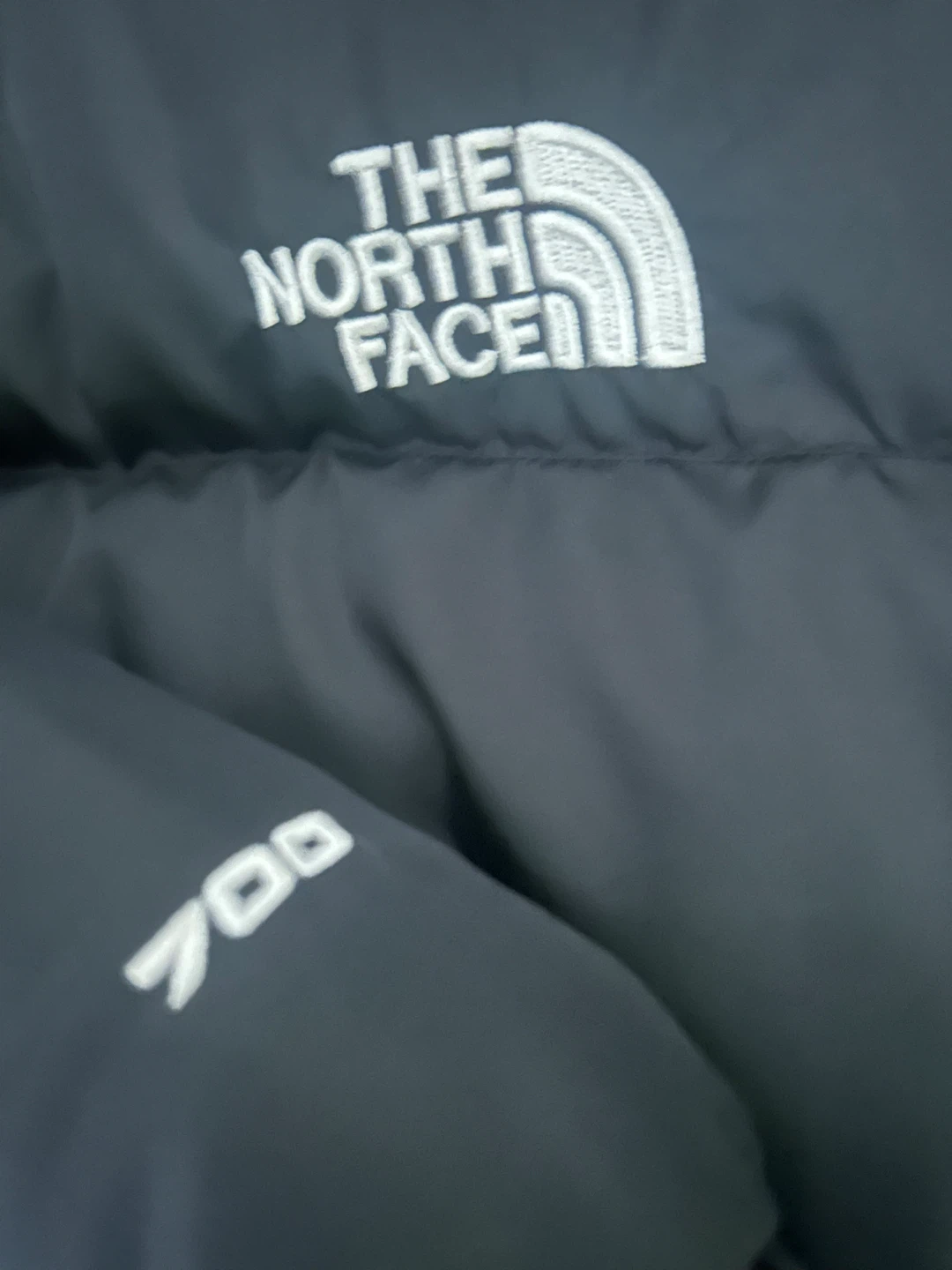 The North Face 700 Fill Down Jacket - Black - Size L - photo 3
