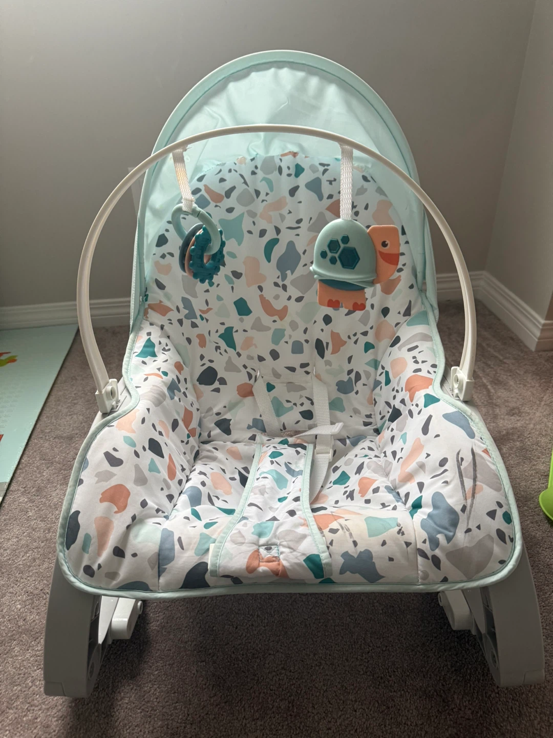 Fisher-Price Baby Bouncer Seat - photo 3