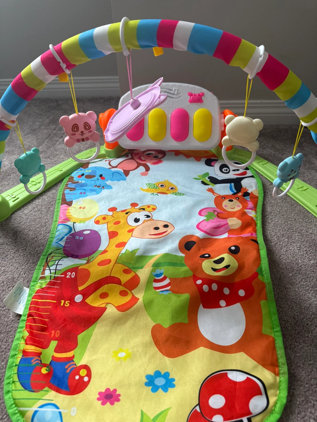 Baby Activity Gym with Piano - photo 2