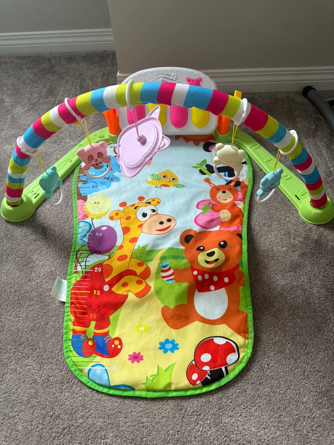Baby Activity Gym with Piano - photo 3