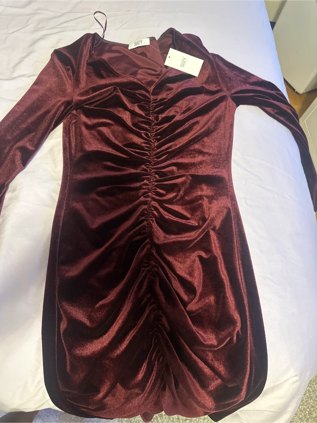 Suzy Velvet Ruched Mini Dress