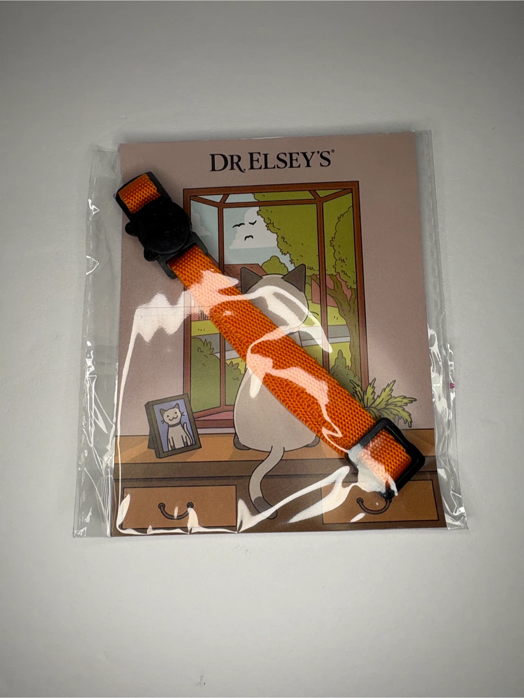 🥕*New* Breakaway Cat Collar Orange