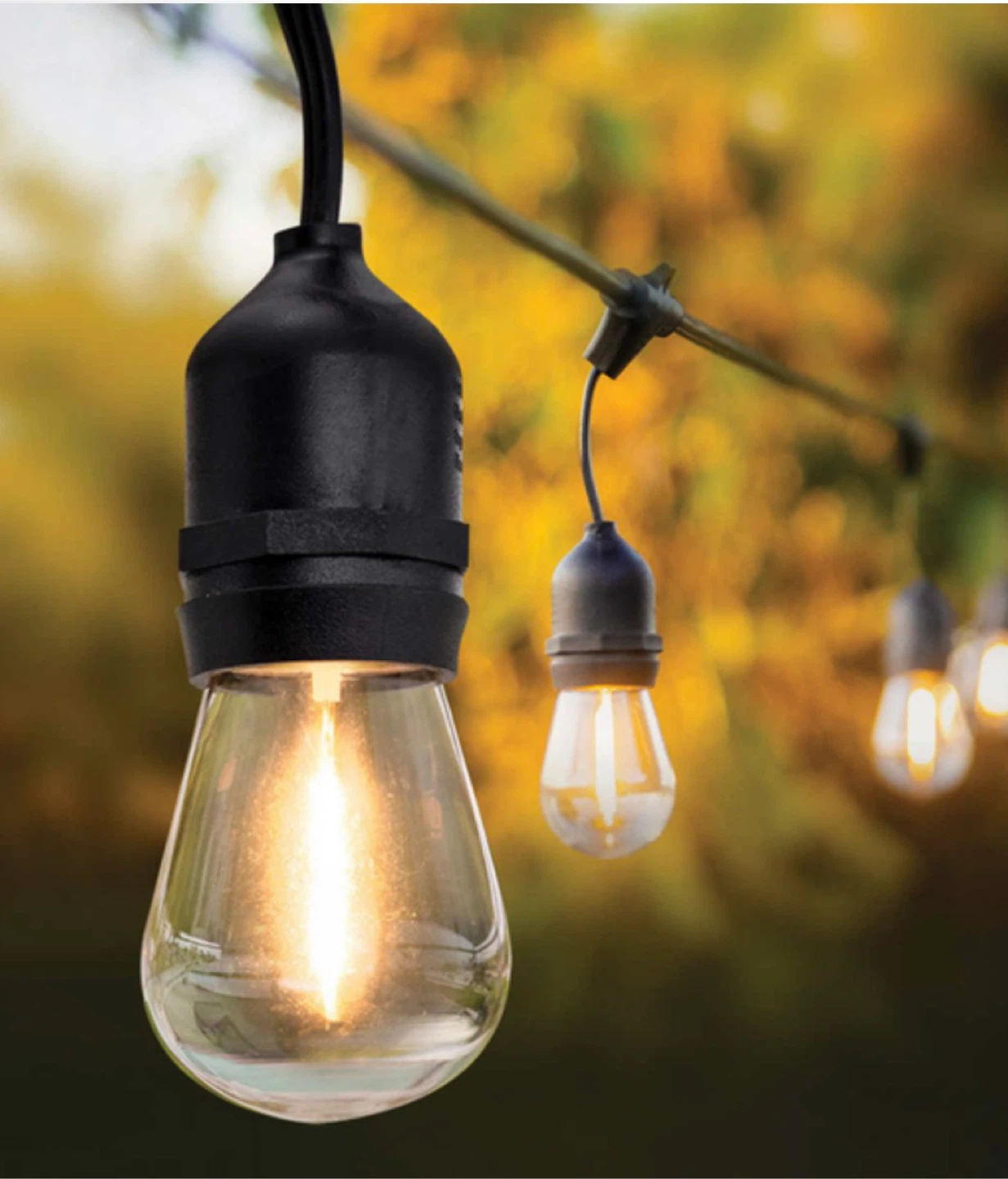 FEIT Electric LED String Lights - 48 ft 🥕