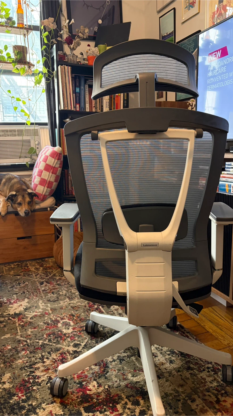 Autonomous.ai ErgoChair Pro Desk and Gaming Chair - photo 2