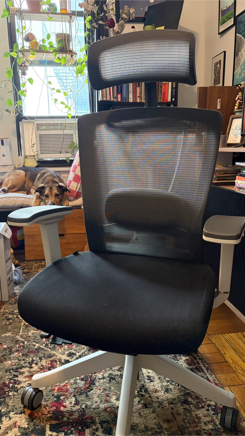 Autonomous.ai ErgoChair Pro Desk and Gaming Chair