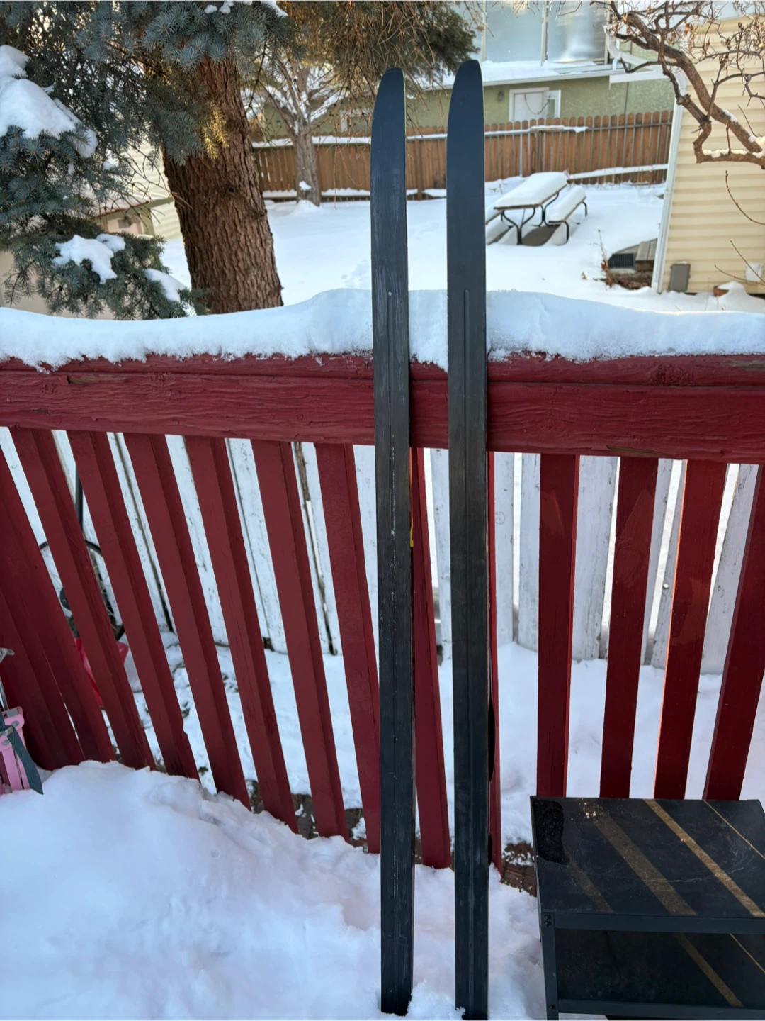 Fischer Cross Country Skis - photo 4