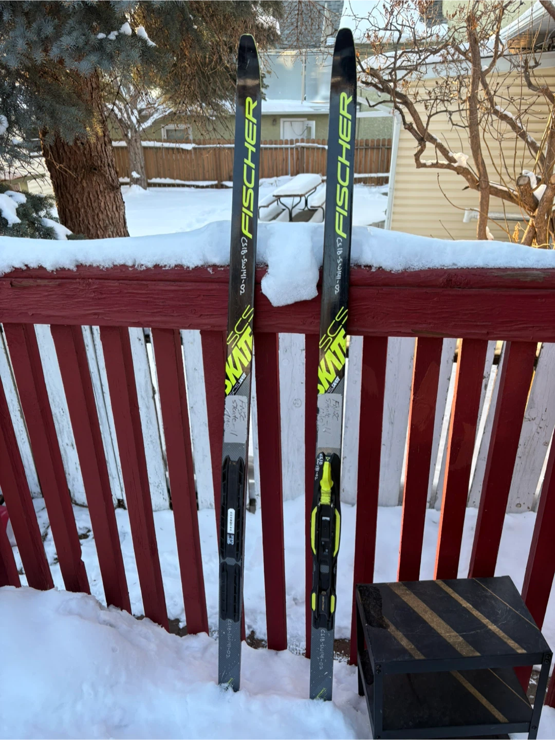 Fischer Cross Country Skis