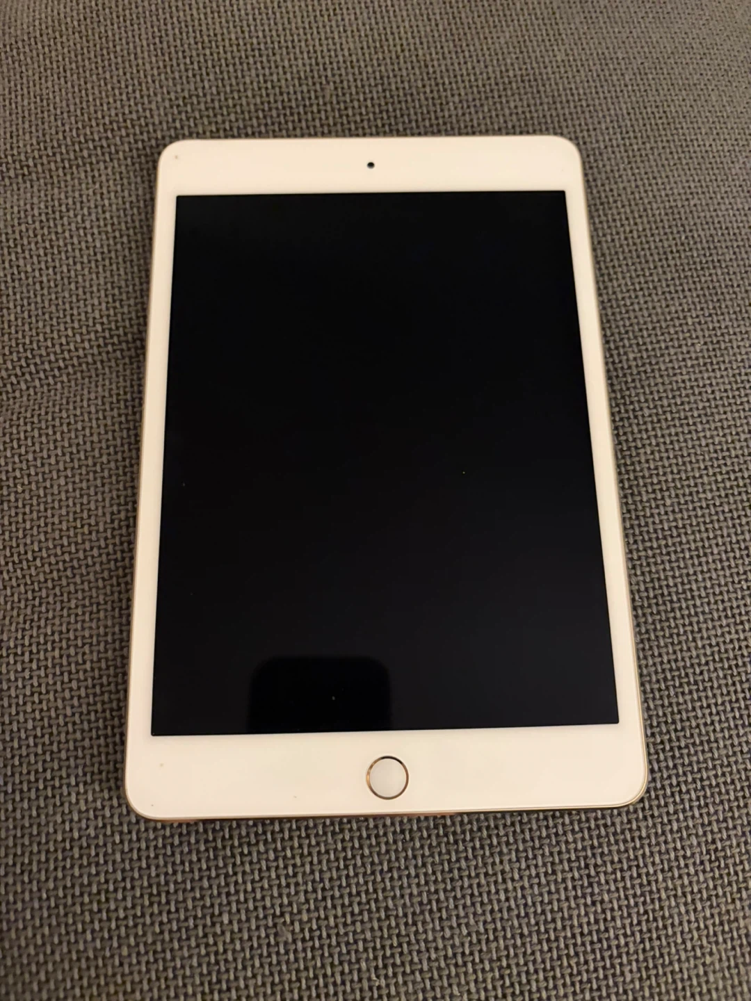 Apple iPad Mini - photo 2