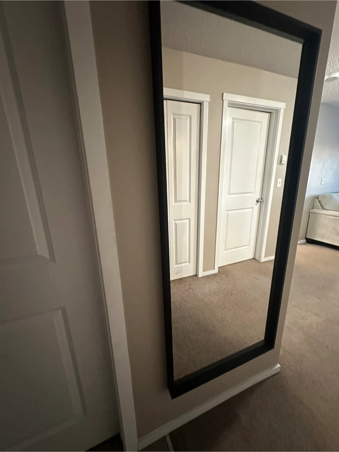Large Rectangular Mirror with Black Frame