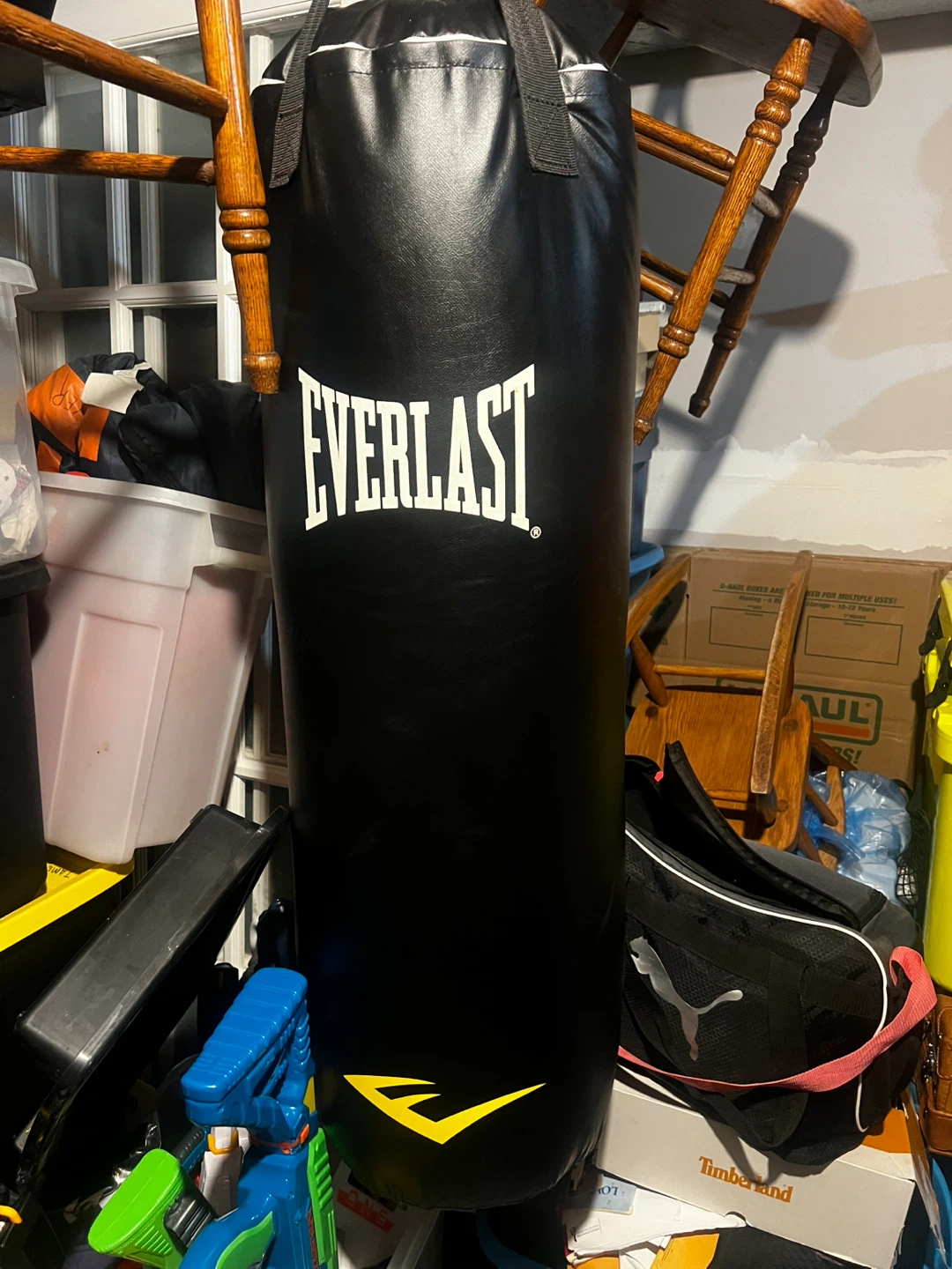 Everlast Punching Bag