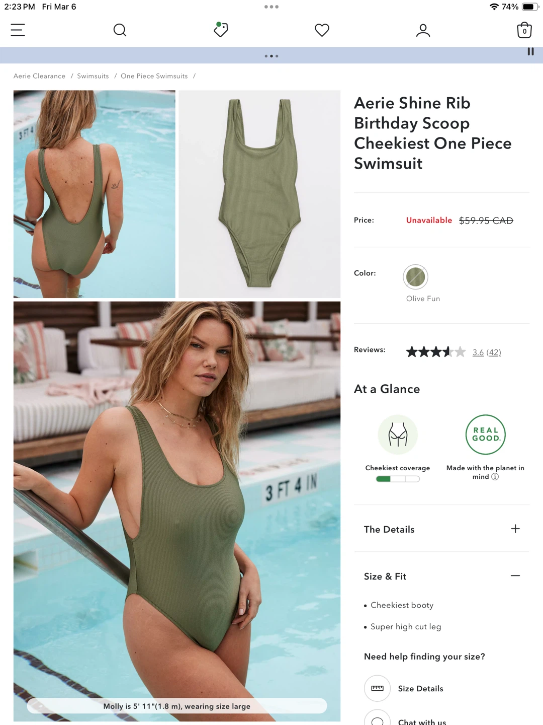 Aerie Shine size M Birthday Scoop Cheekiest One Piece Swimsuit