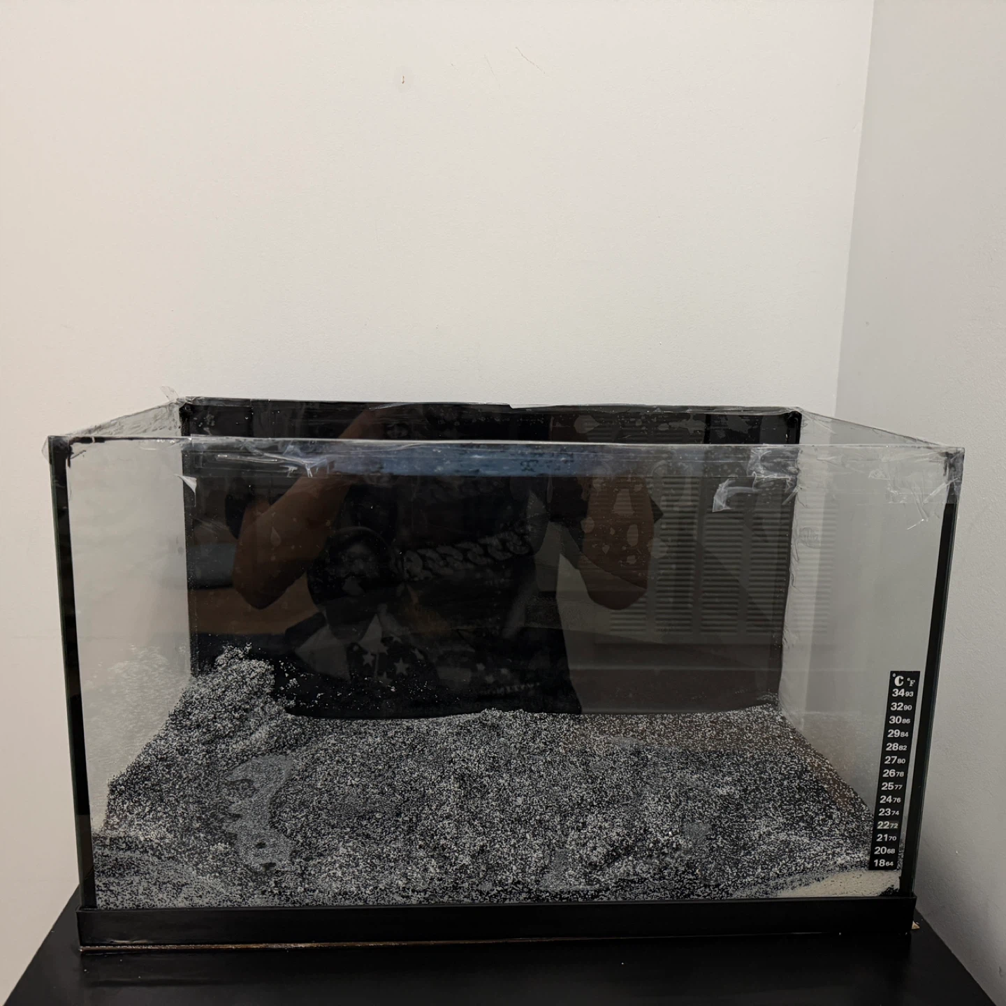 Glass Aquarium Tank with Black Substrate for sale - photo 2