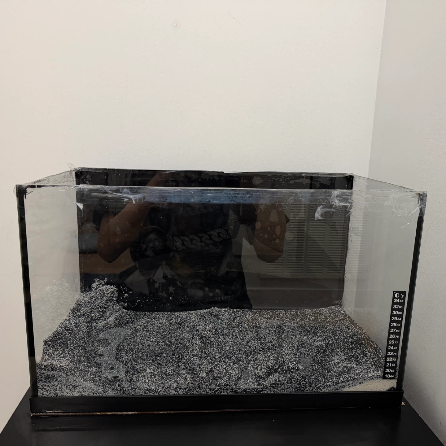Glass Aquarium Tank with Black Substrate for sale - photo 3