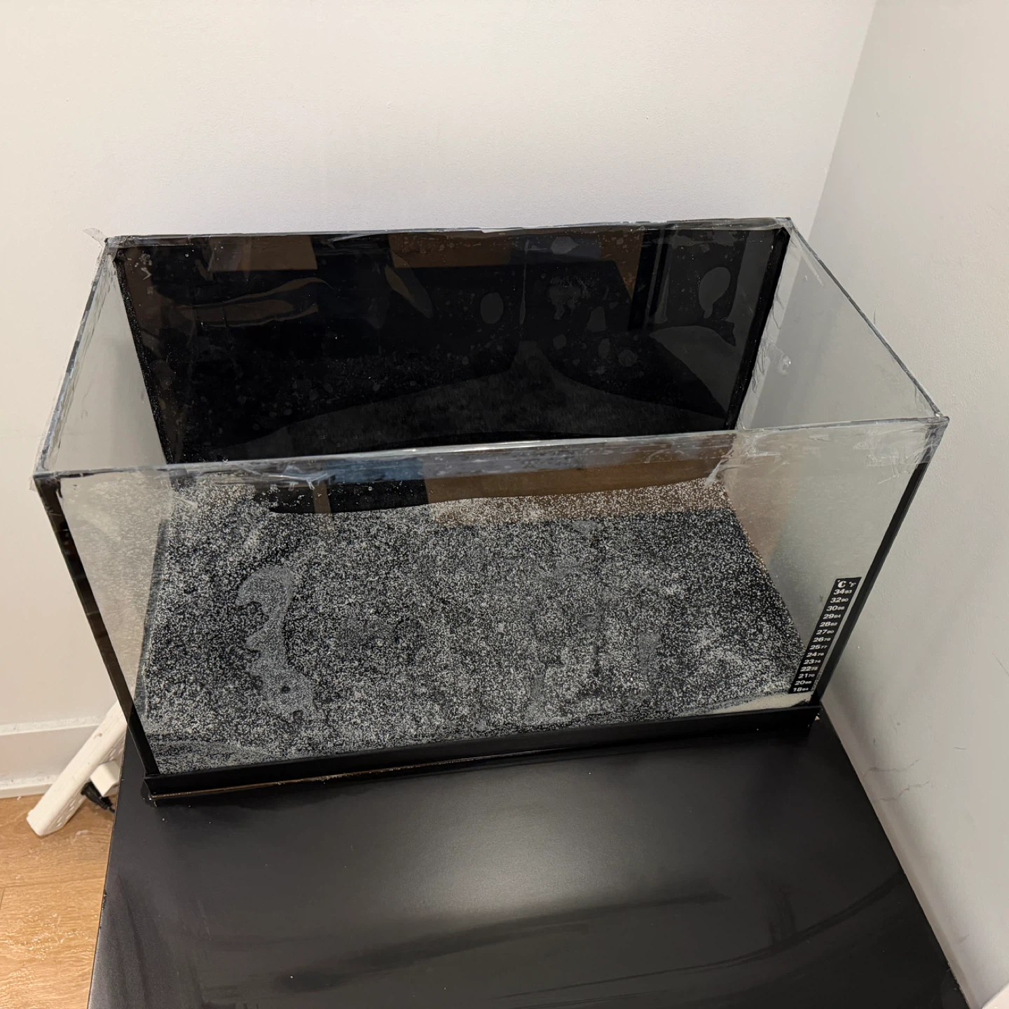 Glass Aquarium Tank with Black Substrate for sale