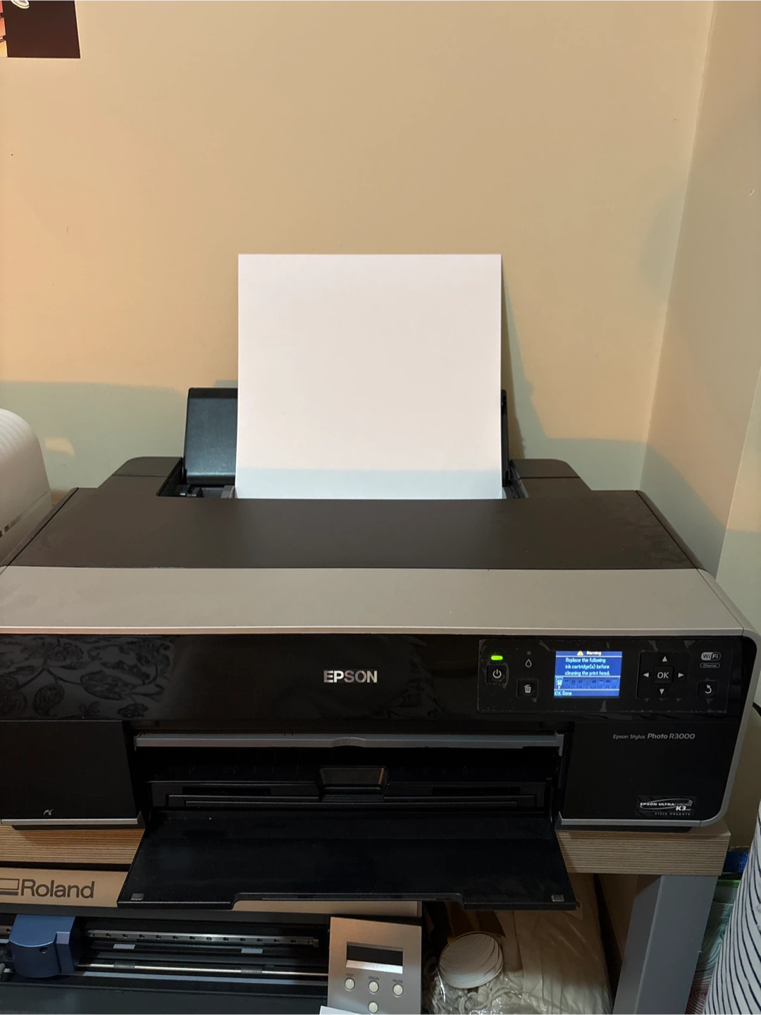 Epson Stylus Photo R3000 Printer - photo 3