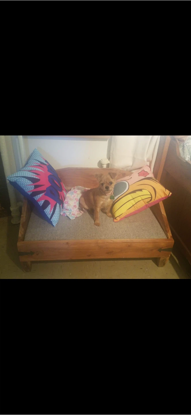 Dog Bed Heavy Solid Wood