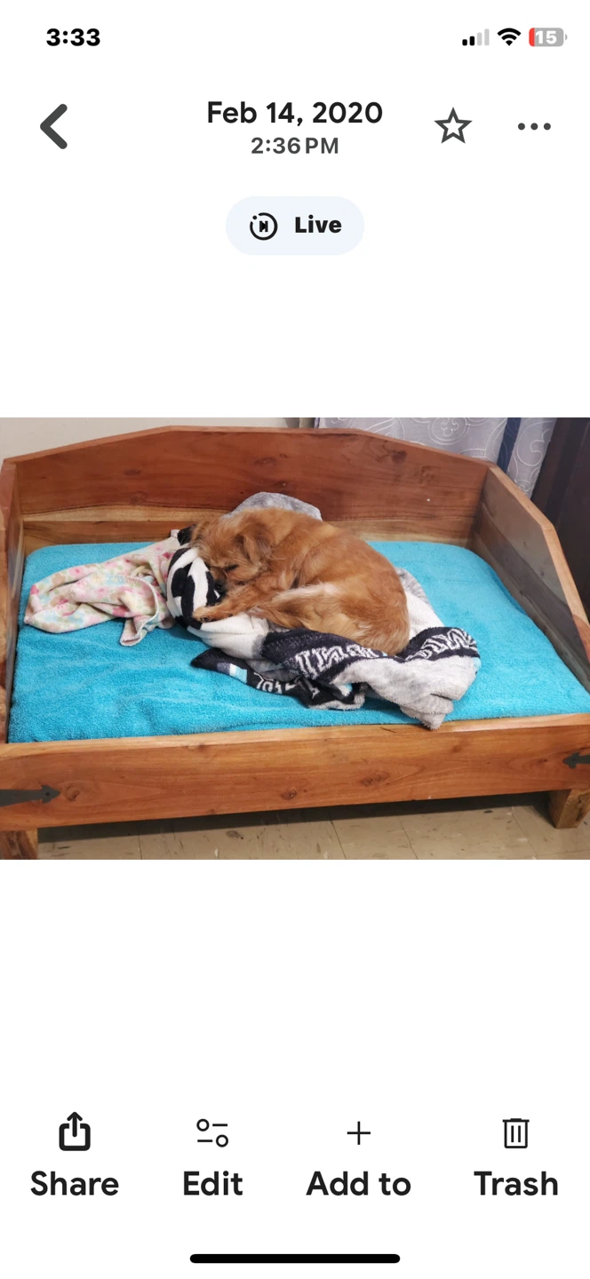 Dog Bed Heavy Solid Wood - photo 2