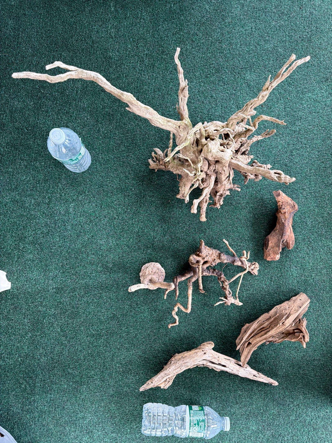 Assorted Aquarium Driftwood Pieces - photo 3
