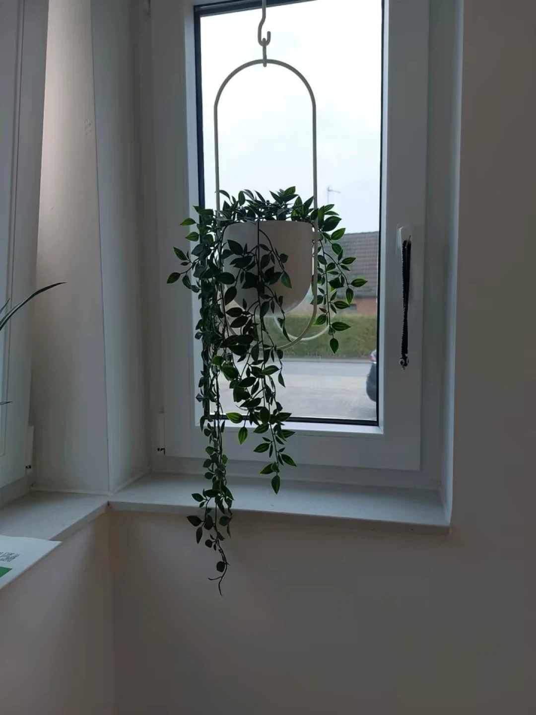 Artificial Hanging Plant 🥕