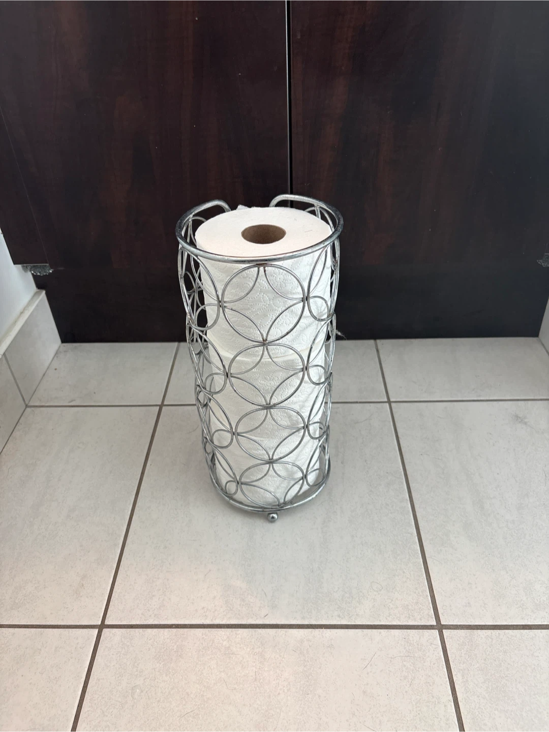 🥕Decorative Metal wire toilet paper holder