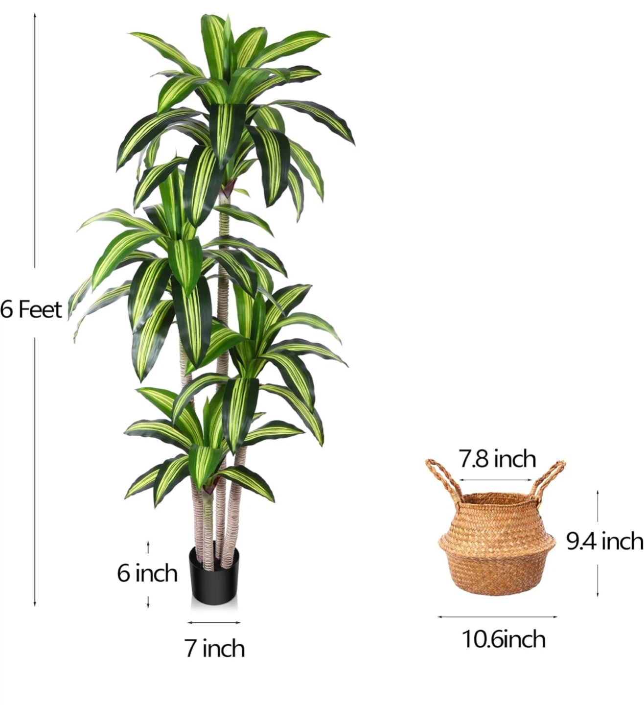 6ft Fiddle Leaf Fig Tree Plant - photo 3