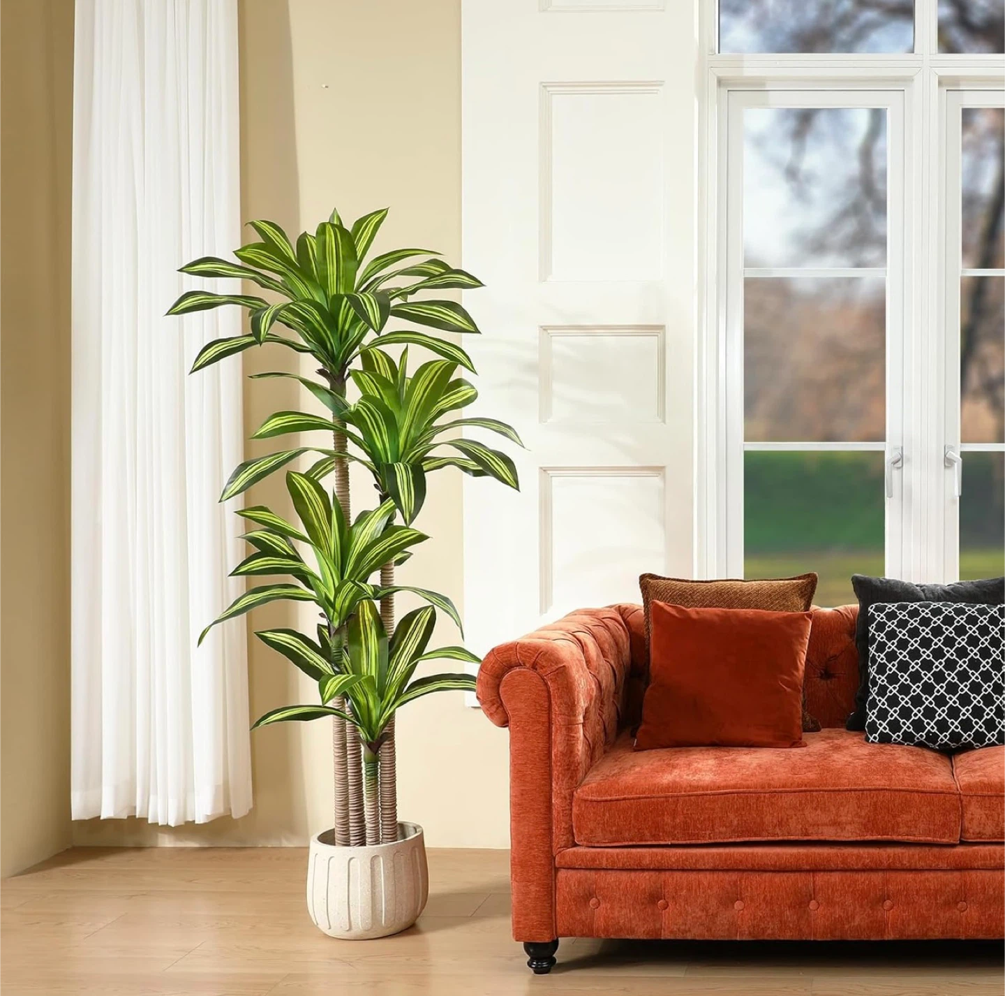 6ft Fiddle Leaf Fig Tree Plant - photo 5