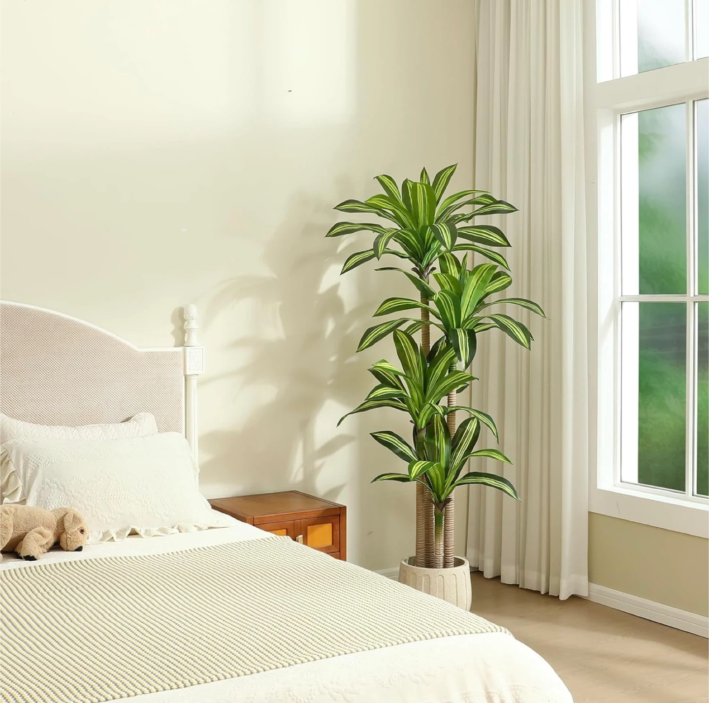 6ft Fiddle Leaf Fig Tree Plant - photo 4