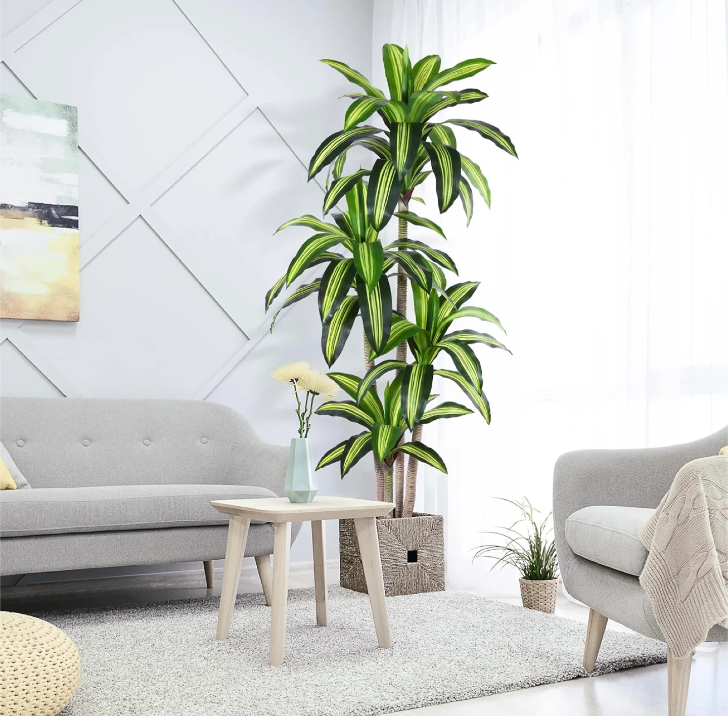 6ft Fiddle Leaf Fig Tree Plant