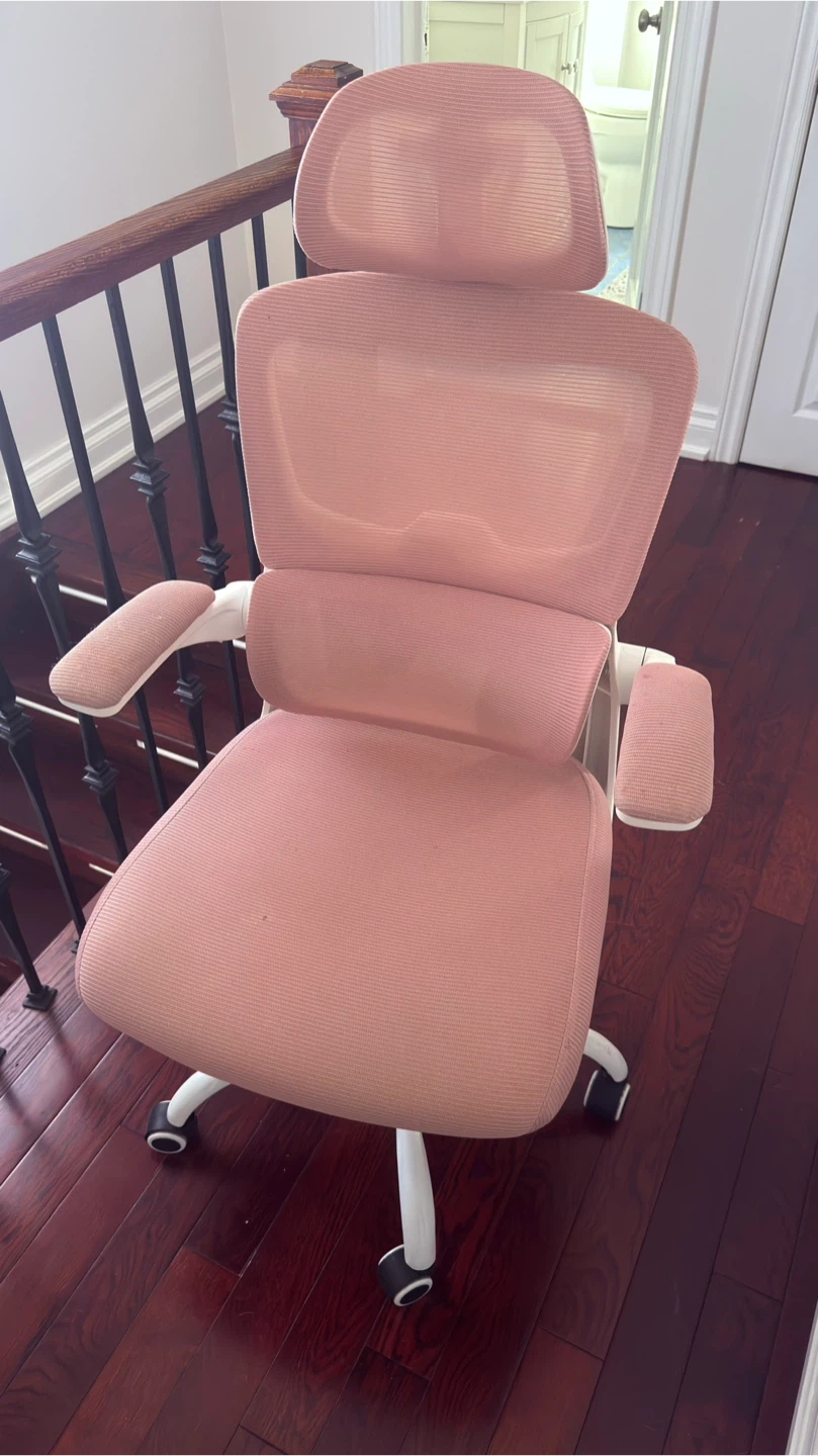 Pink Ergonomic Office Chair