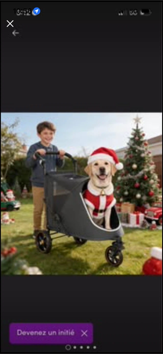 New Black Pet Stroller