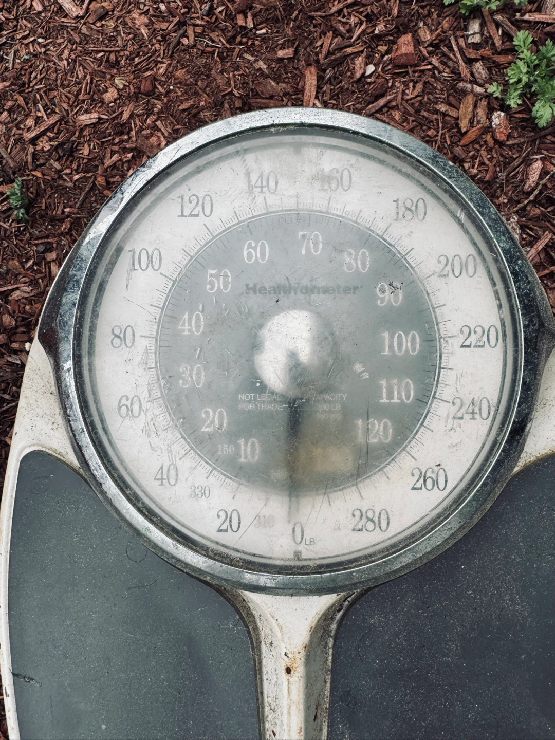 antique Health-o-meter Scale - photo 2
