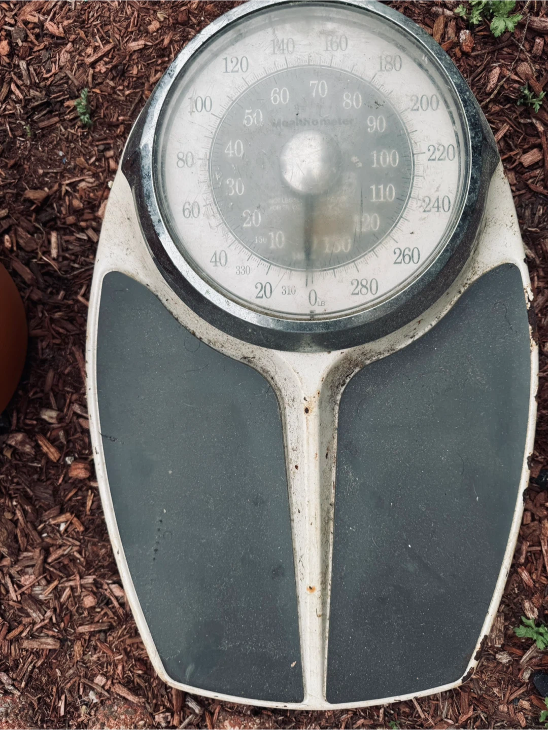 antique Health-o-meter Scale
