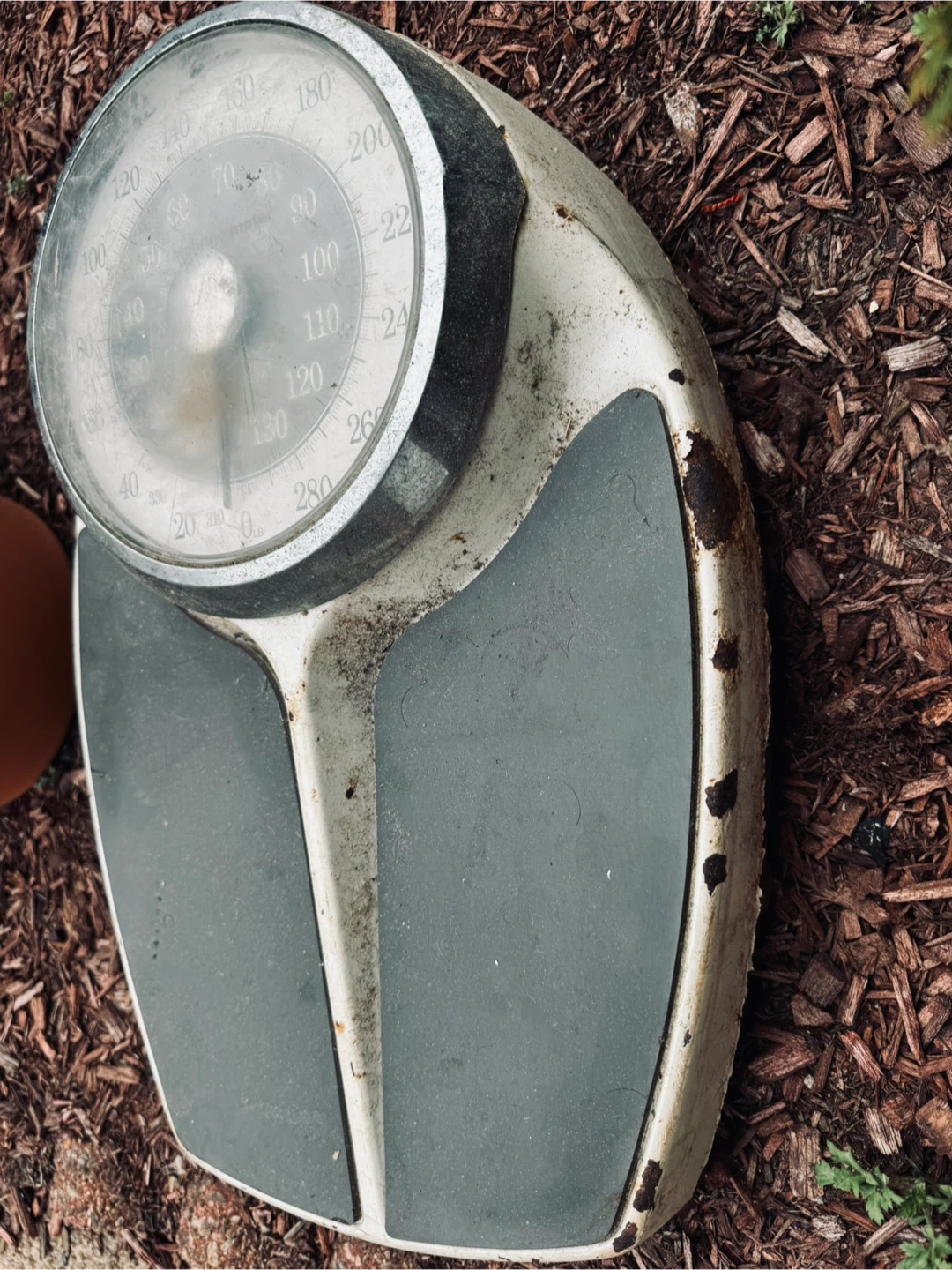 antique Health-o-meter Scale - photo 3