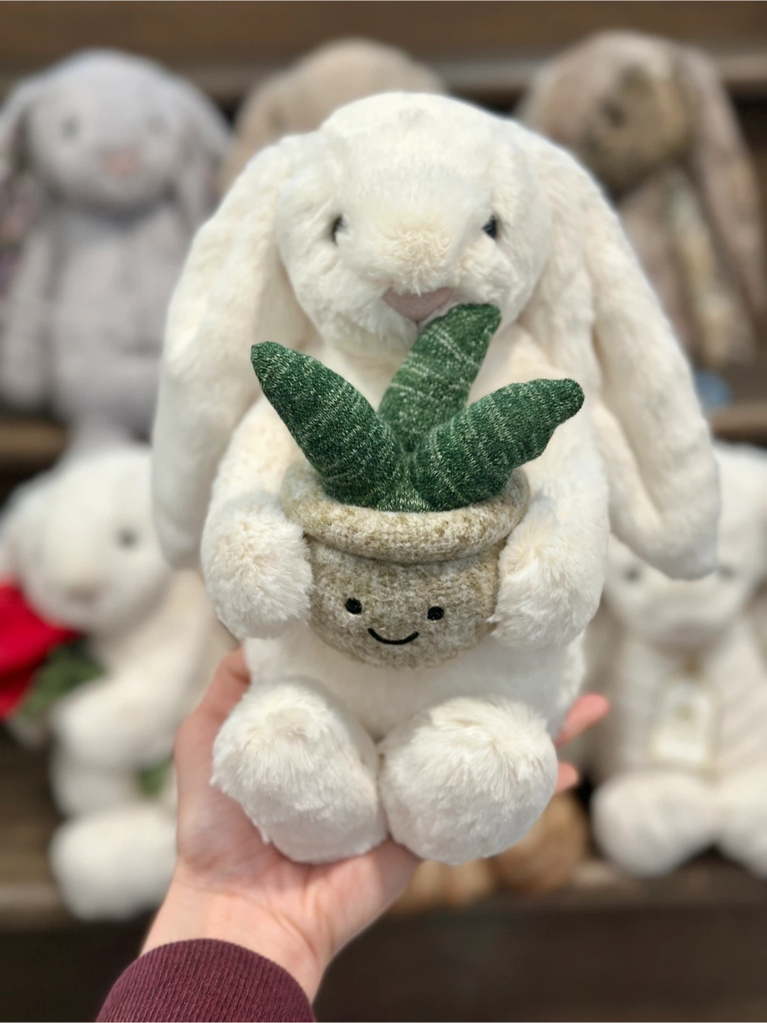 Jellycat Bunny with Plant 🐰🪴✨
