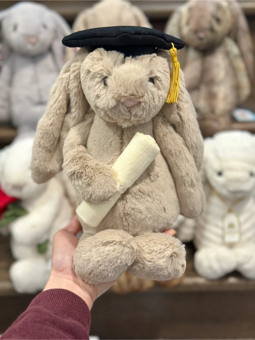 Jellycat Graduation Bunny 🎓🐰 – Perfect Graduation Gift!