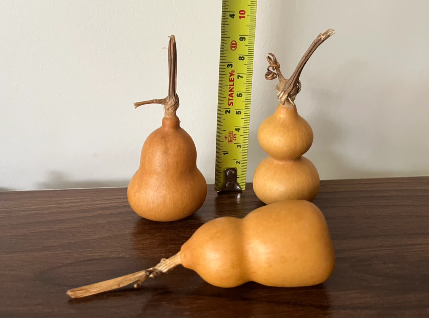 Decorative Dried Gourds 3 for$10