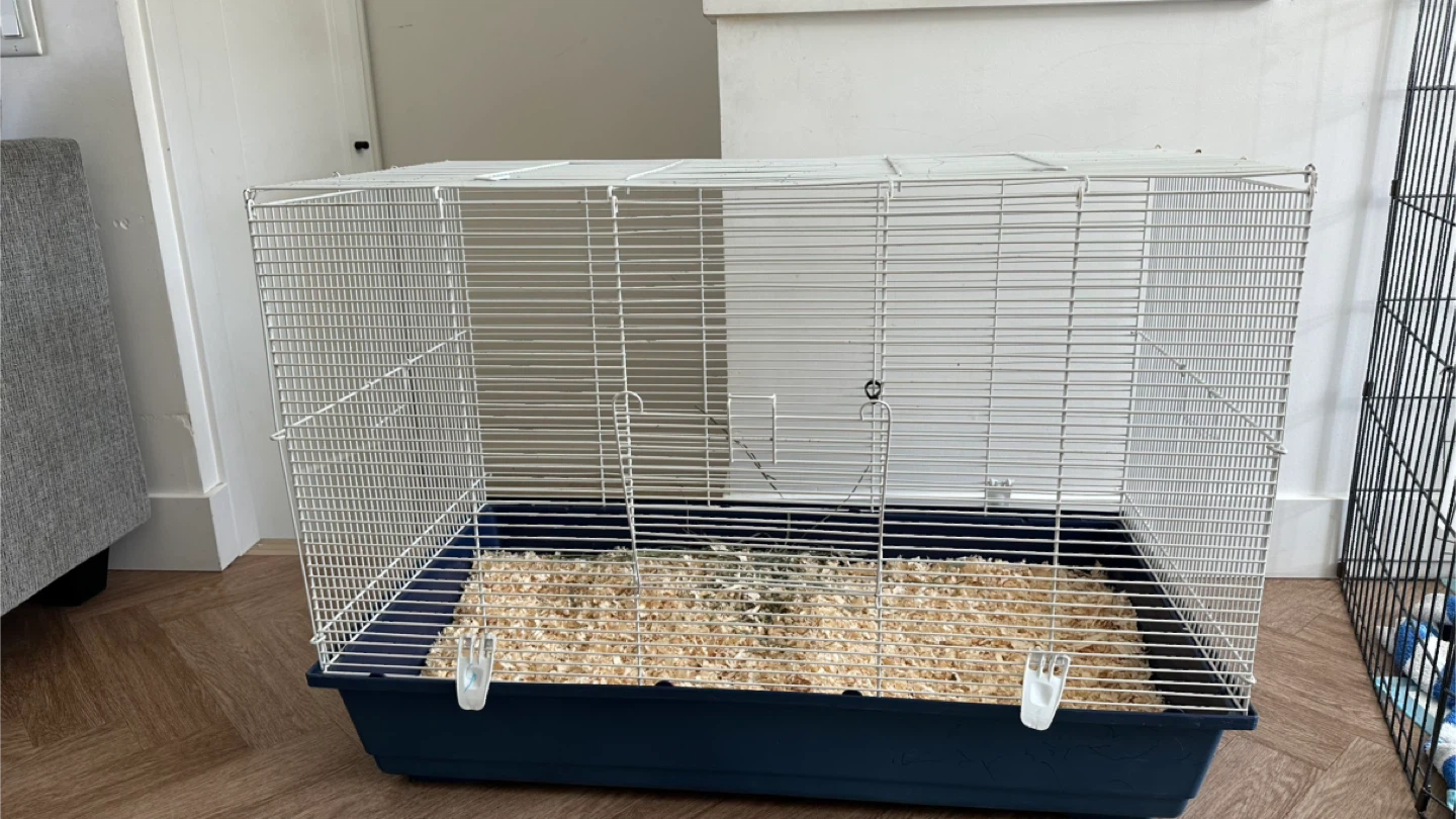 Pet Habitat Cage with wood shavings