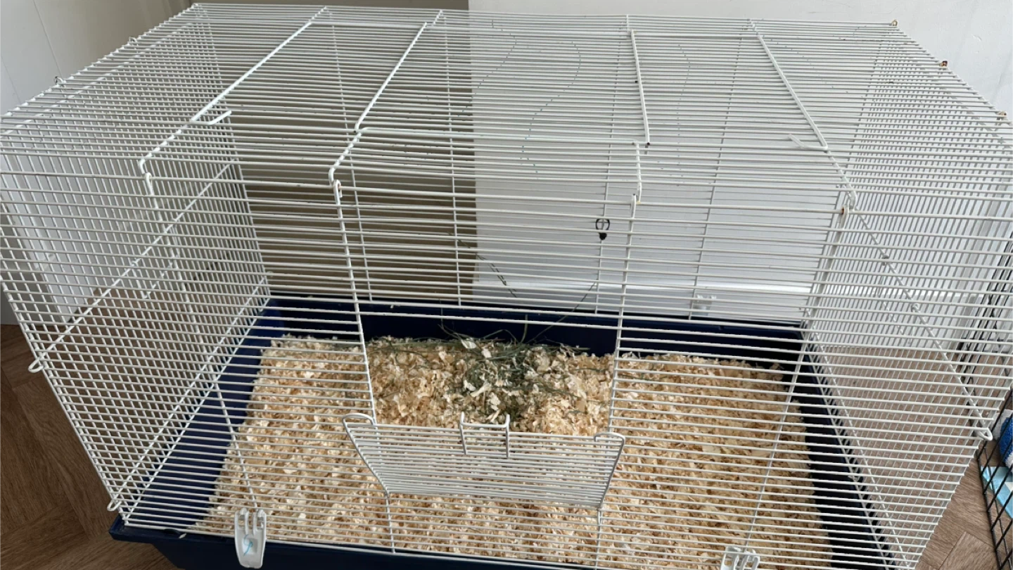 Pet Habitat Cage with wood shavings - photo 2