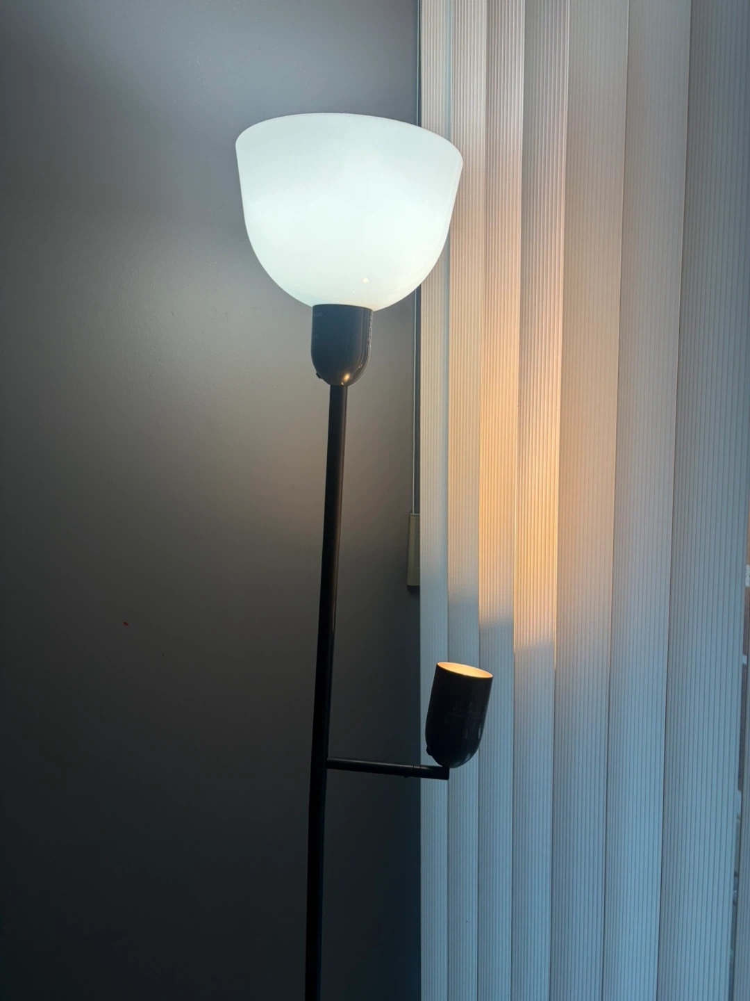 IKEA Floor Lamp with Reading Light