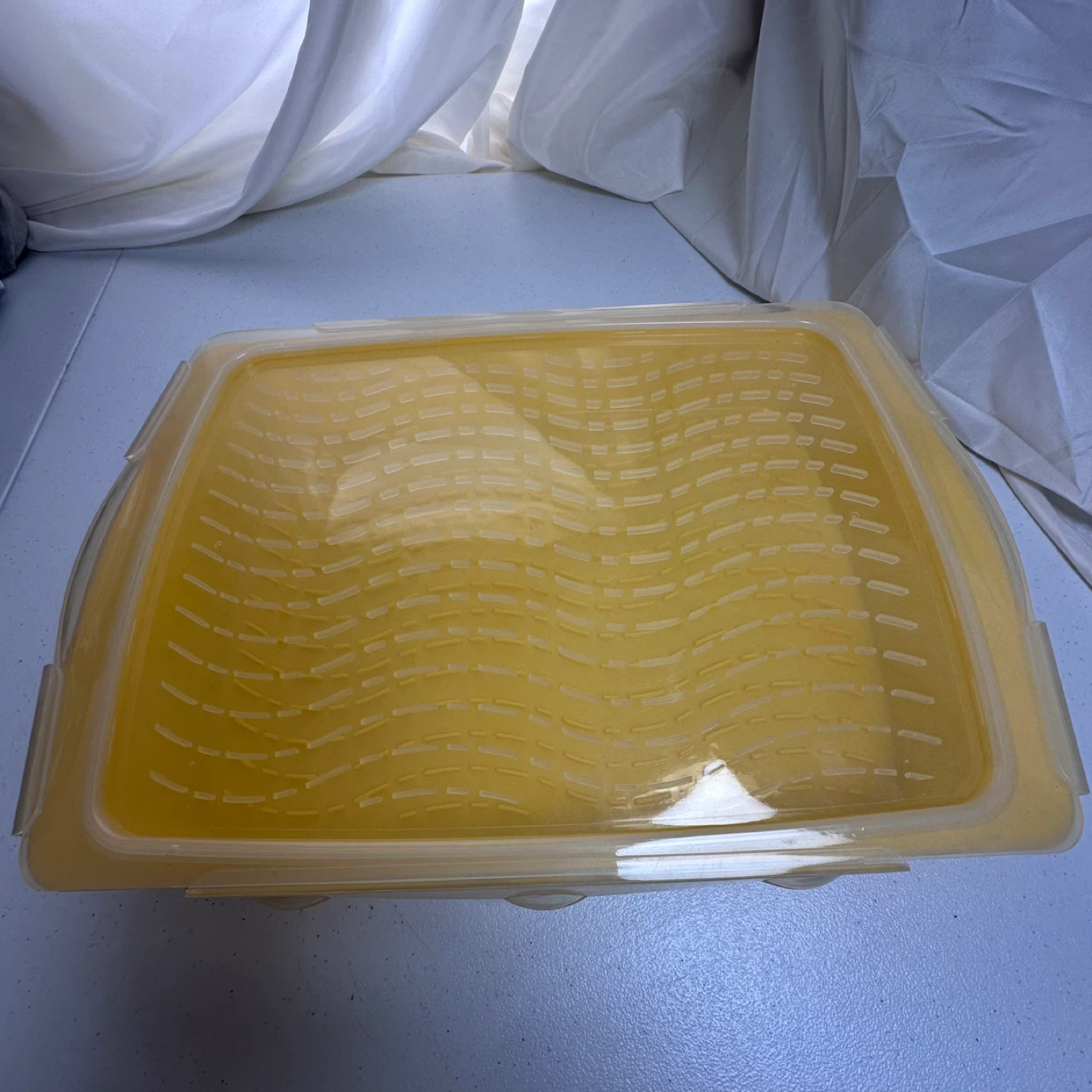 Marinade Tray and Snap Lid Set Yellow Party BBQ