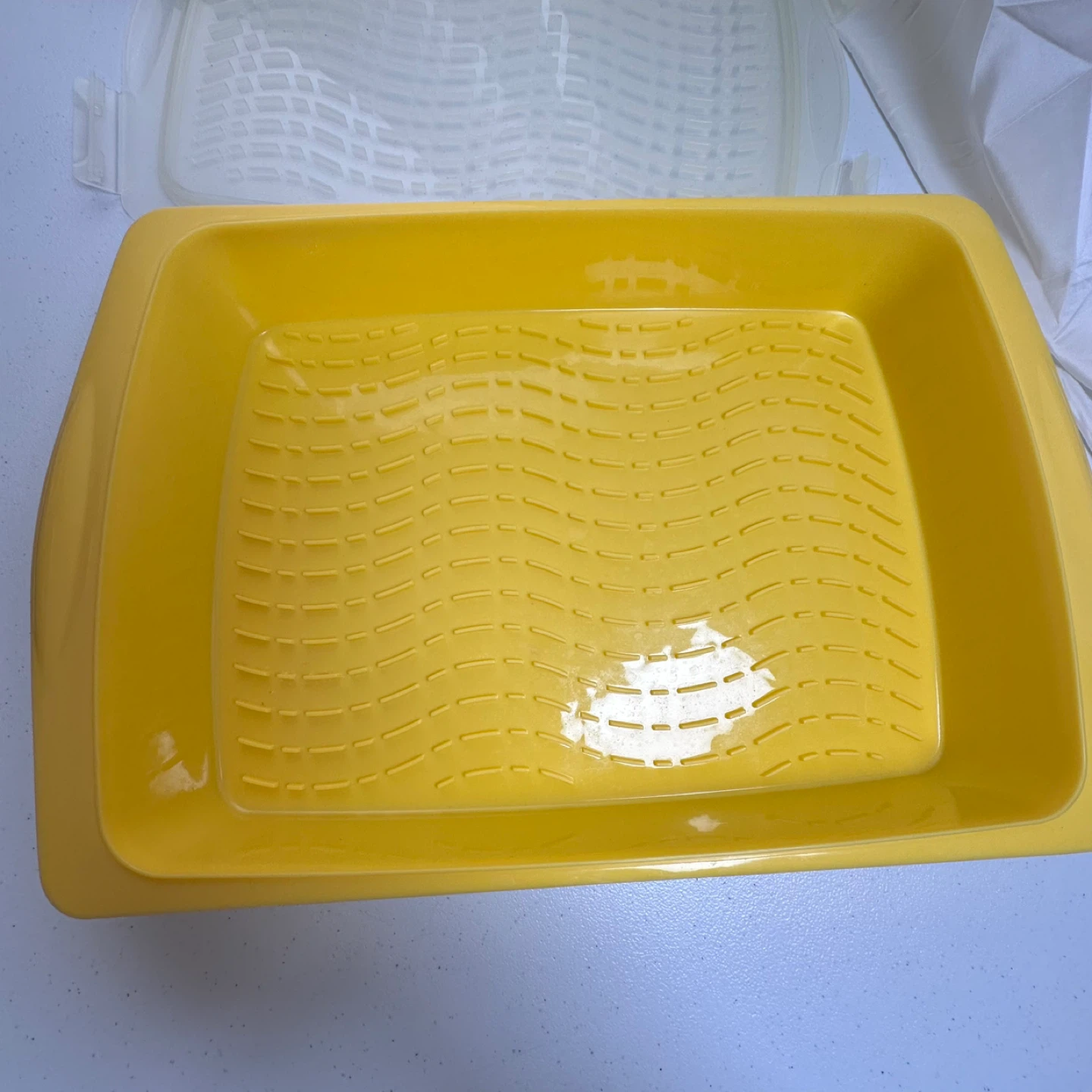 Marinade Tray and Snap Lid Set Yellow Party BBQ - photo 5