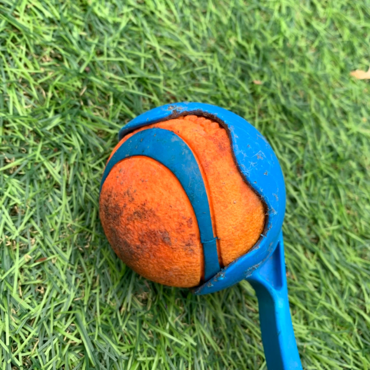 Dog Ball Launcher Fetch Toy Chuckit Tennis Ball Thrower for Dogs - photo 2