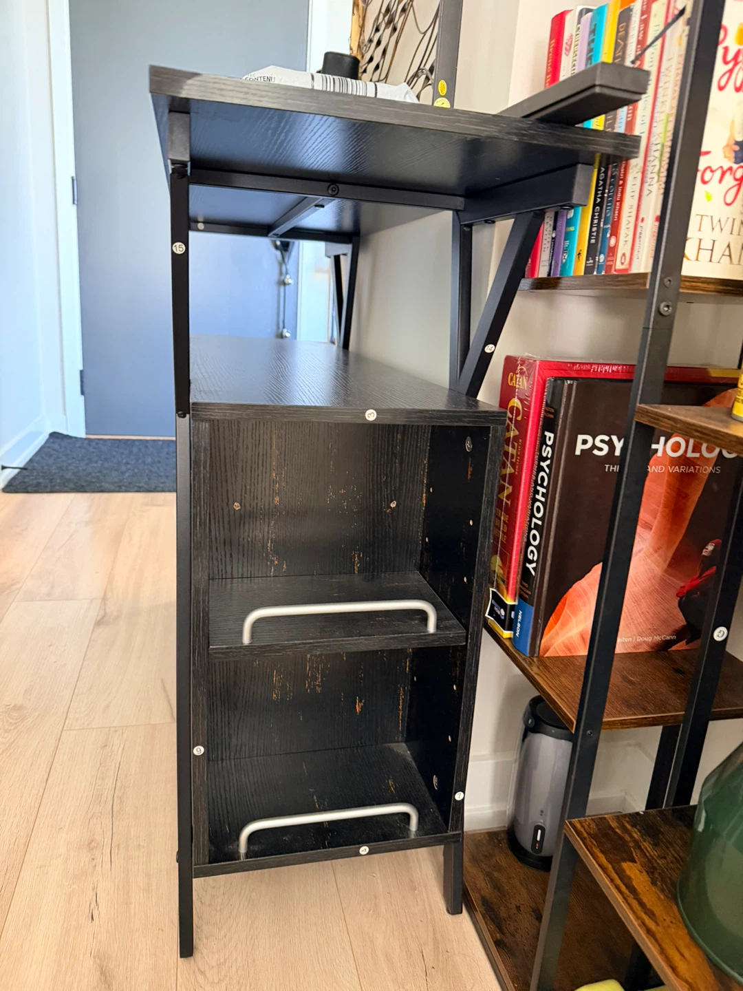 Black Storage Cabinet with Shelves and Doors - photo 3