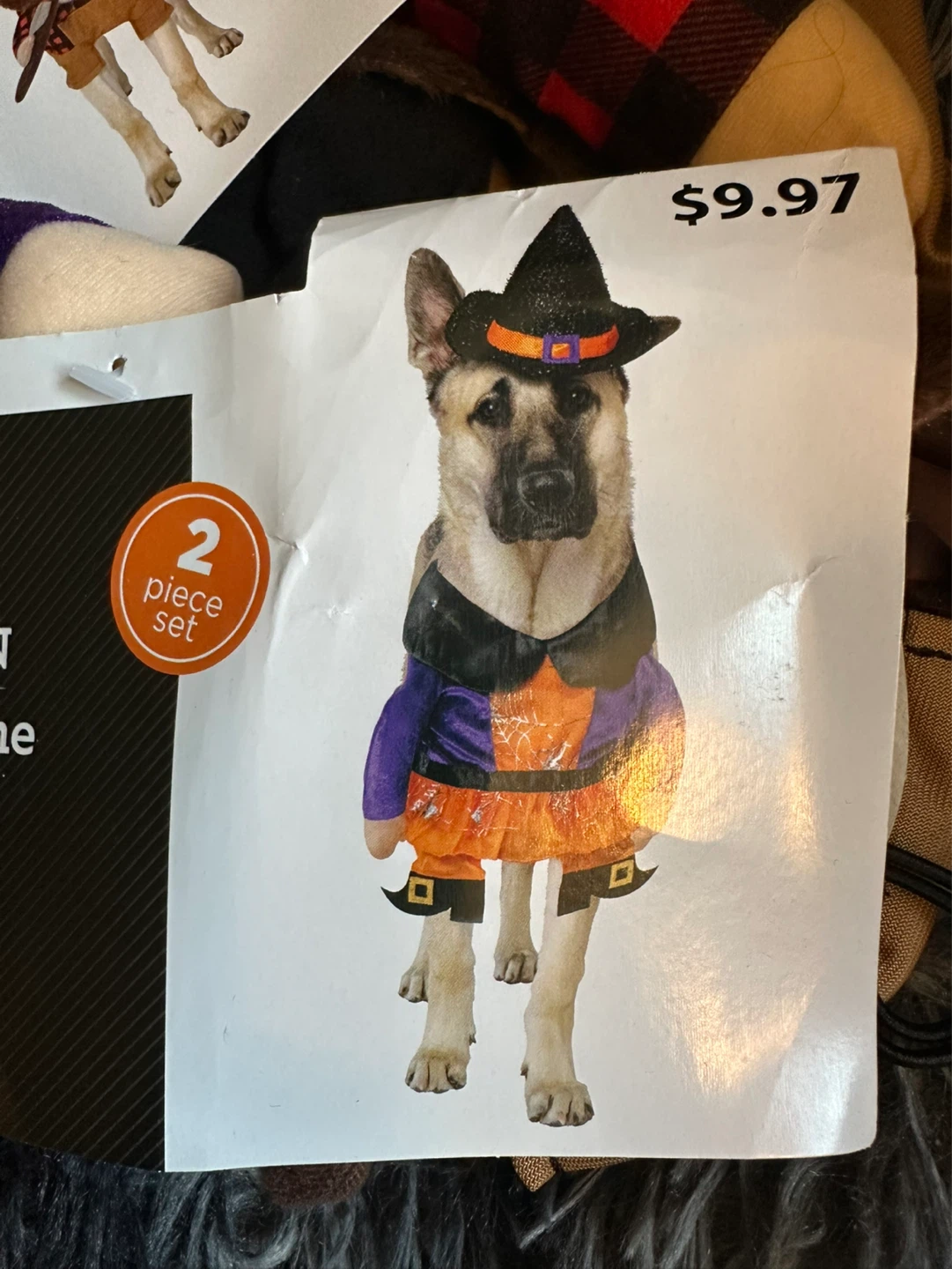 Celebrate! Halloween Dog Costumes (Various Sizes/Styles) - photo 3